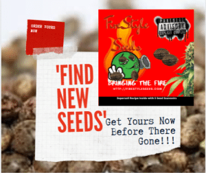 Firestyle seeds : Order Marijuana seeds Online